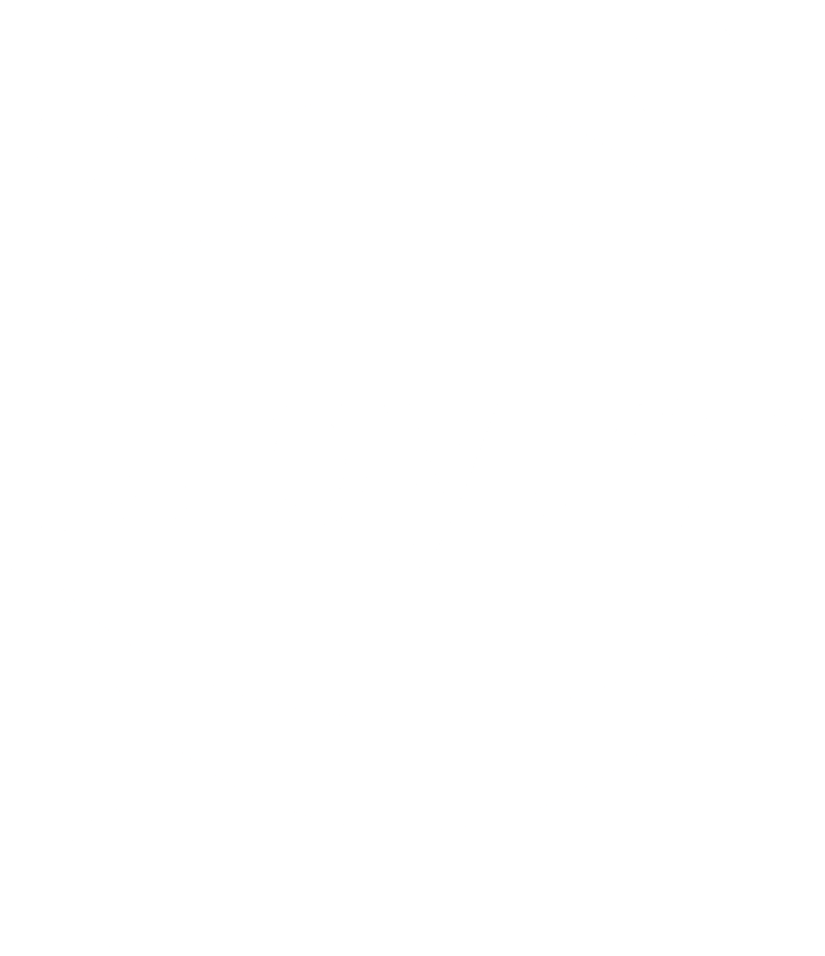 Jupyter Notebook